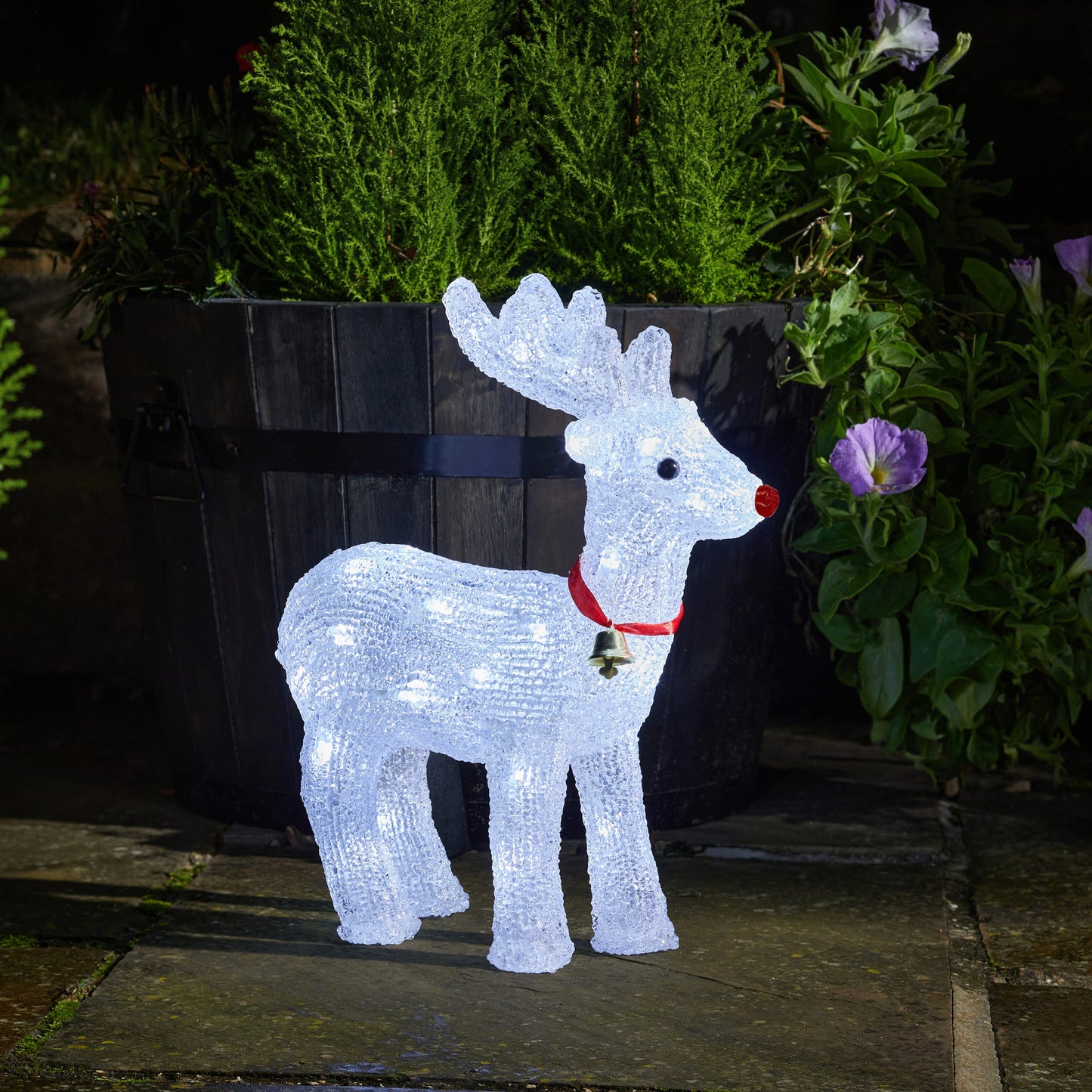 Ice Rudolph