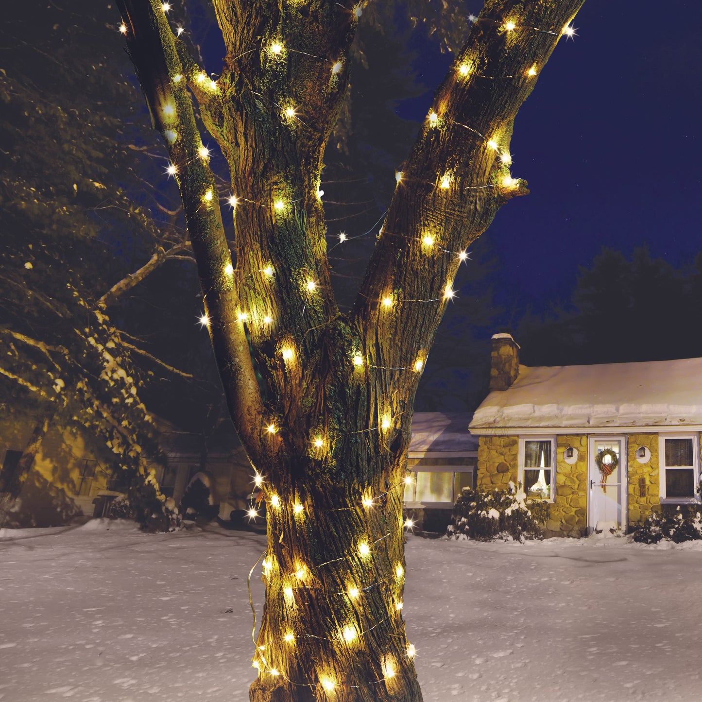 Strom ozdobený svetelnou reťazou Firefly Warm White LED Lights od Eureka Lighting