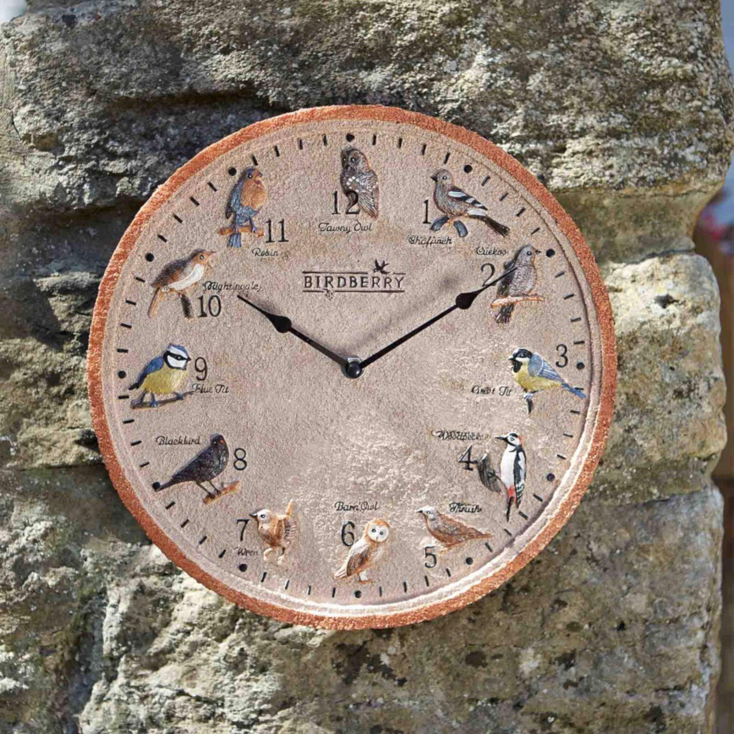Nástenné hodiny ozdobené 12 vtáčikmi od Outside In designs sú vhodné aj na múr či stenu v záhrade