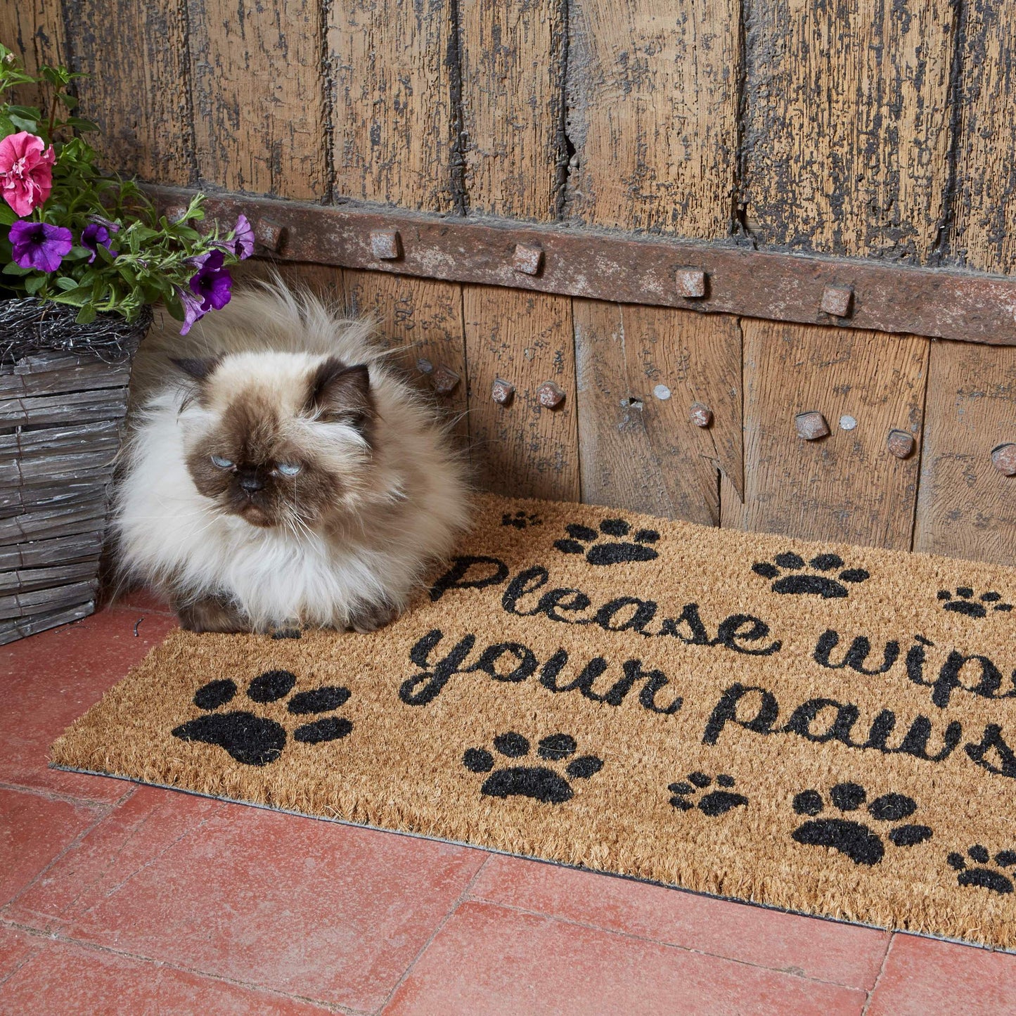 Rohožka Wipe Your Paws zo série Décoir
