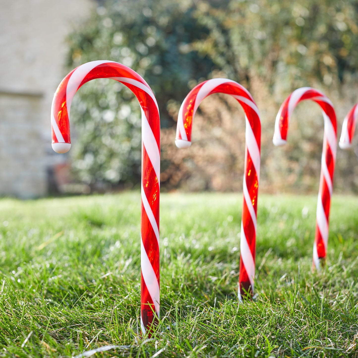 CandyCane Stakes Large