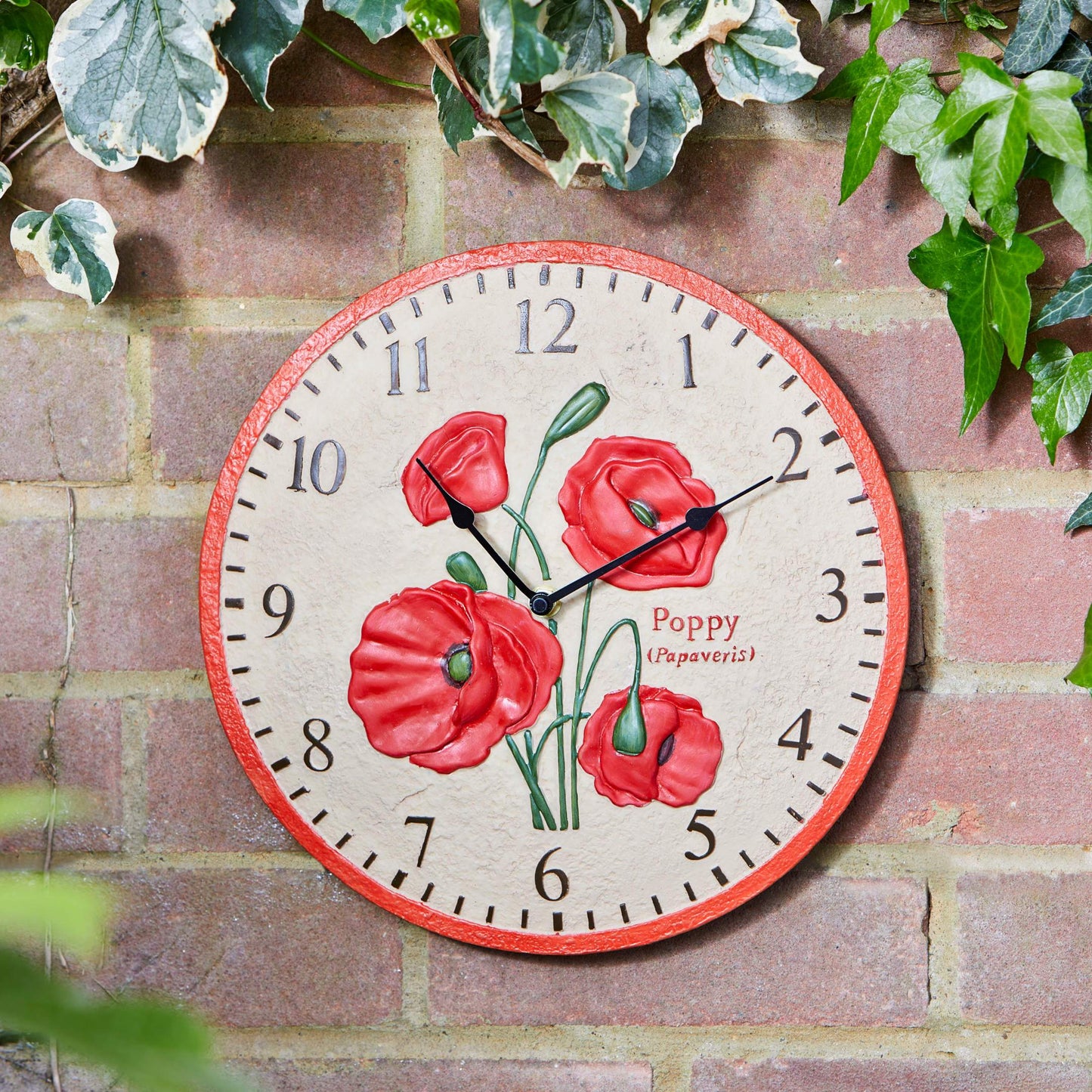 Nástenné hodiny s priemerom 30cm ozdobené makovými kvetmi na múre v záhrade